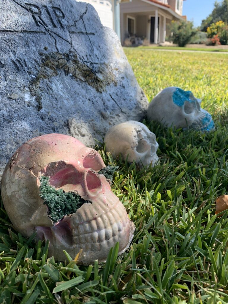 skull trio_small